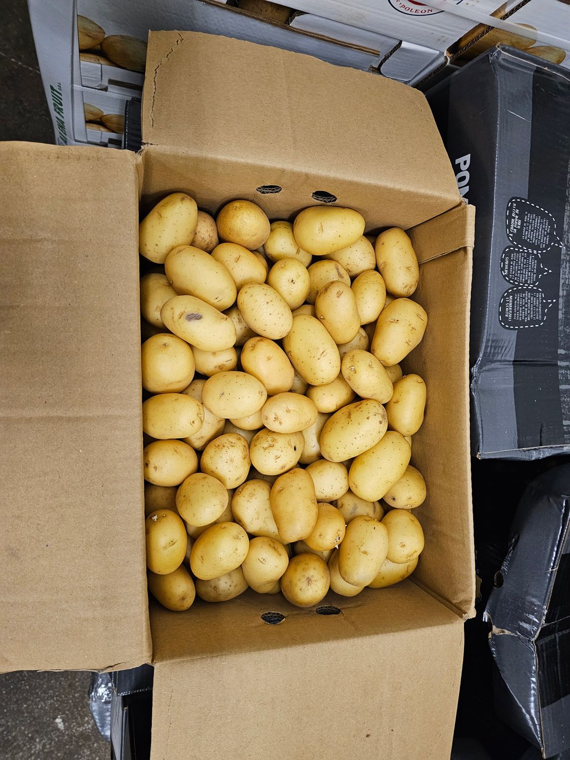 Agata Kartoffel 12,5KG