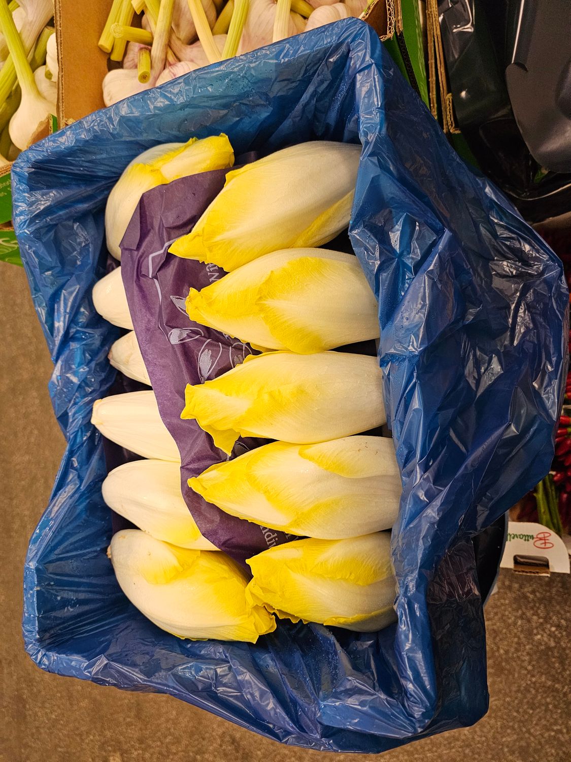 Chicorée 5Kg