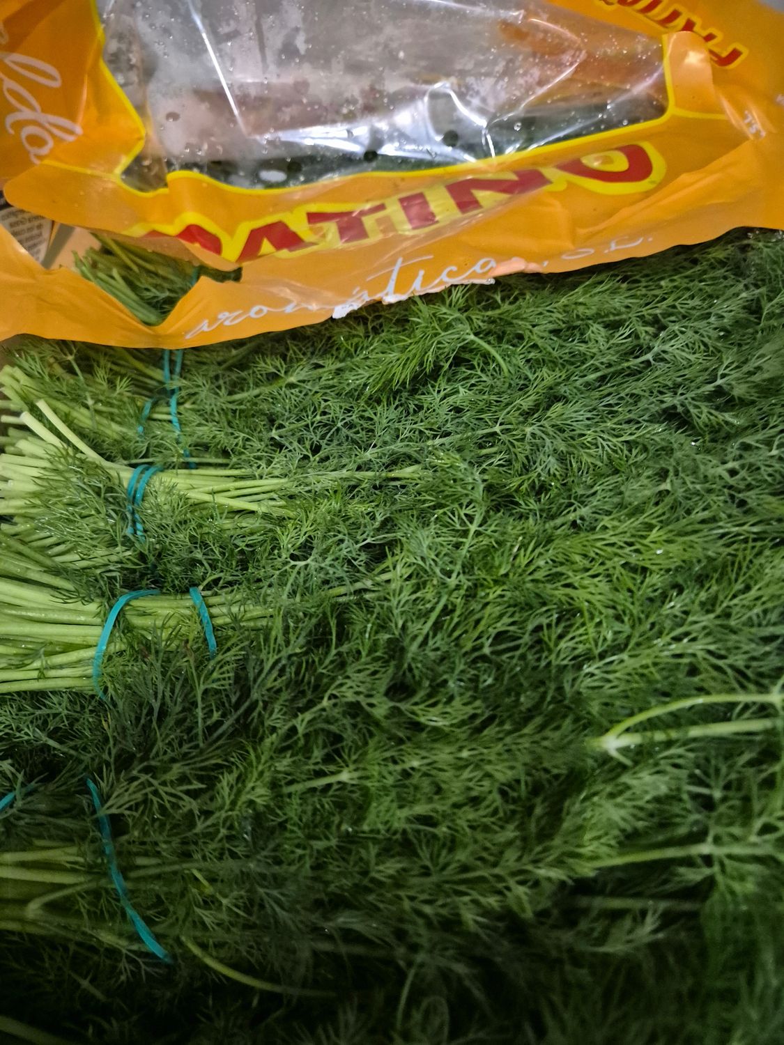 Dill 20'er  Sp.