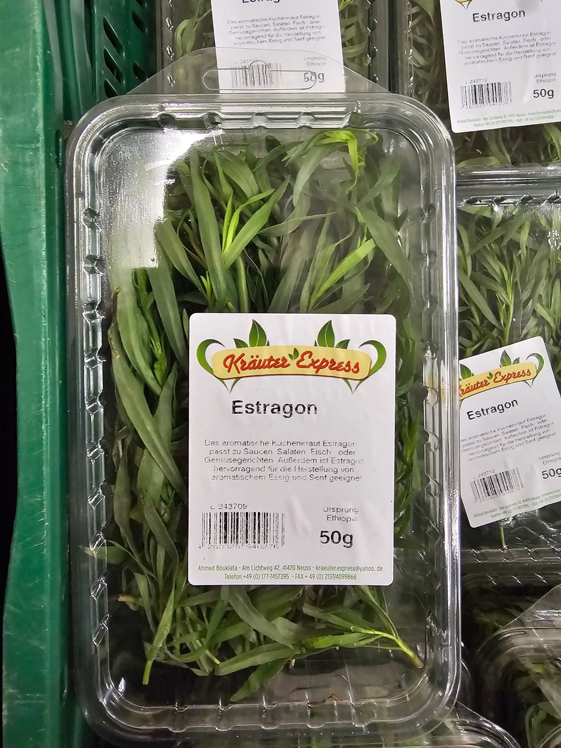Estragon Schale 50g