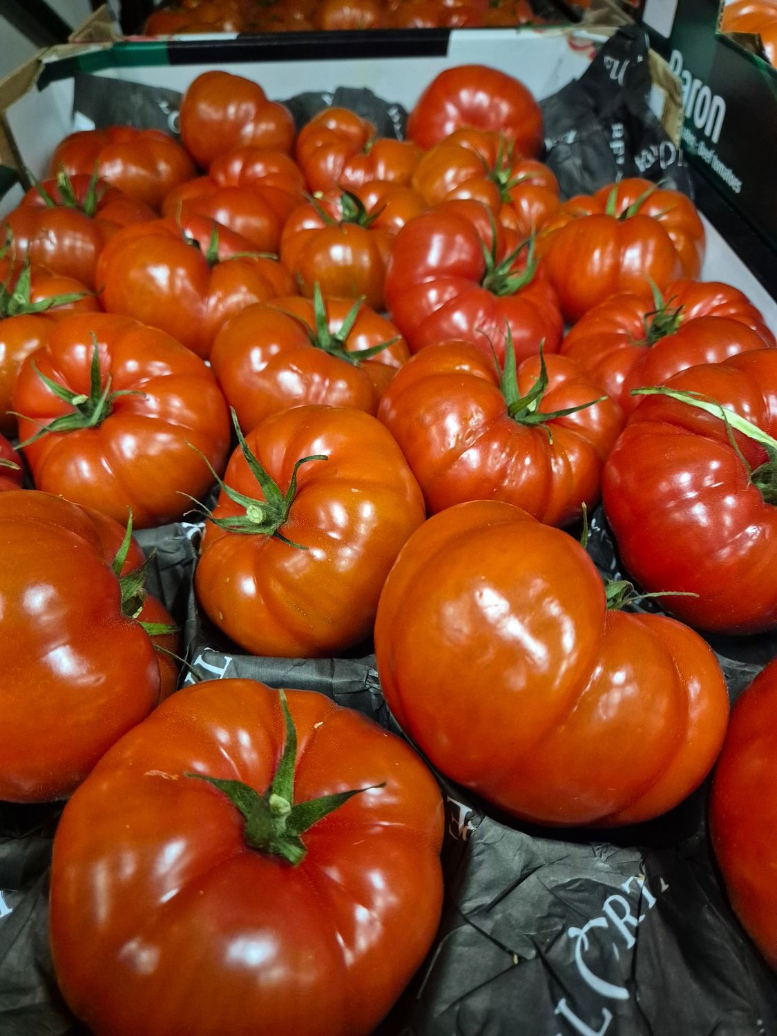 Fleischtomaten  BE  (+102)    7 kg