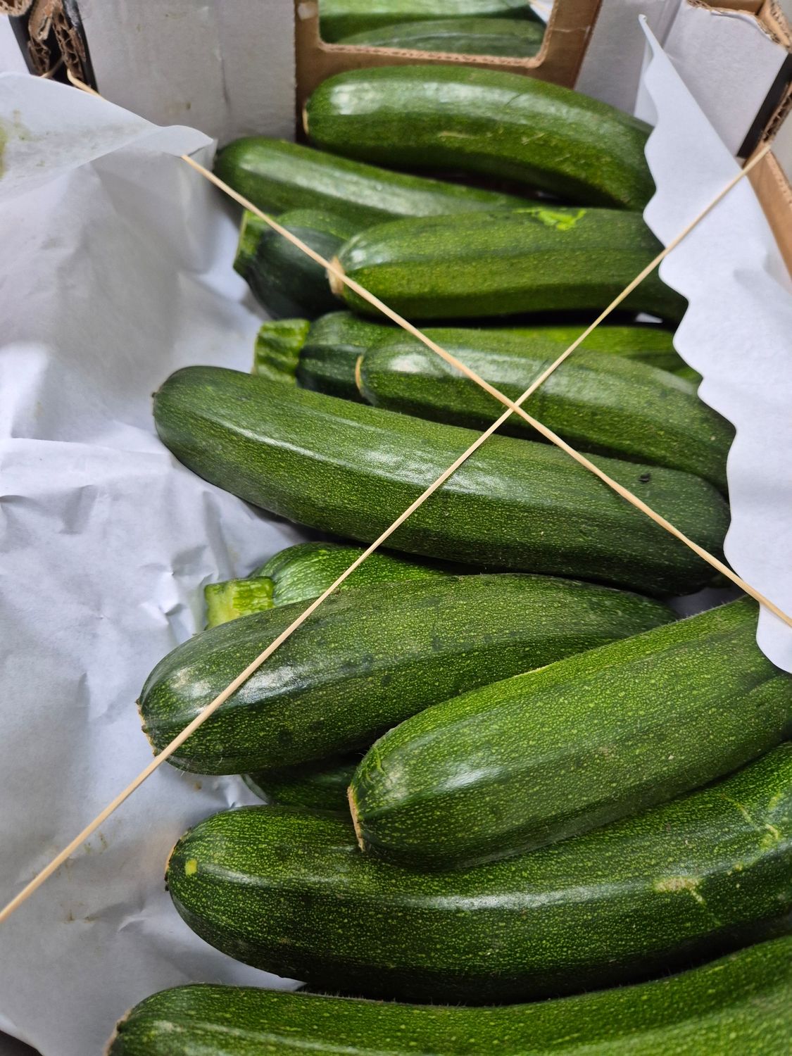 Grüne Zucchini (SP) 5 kg