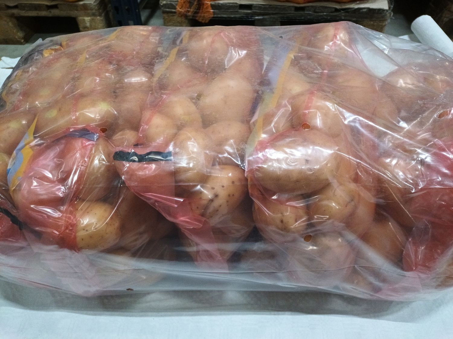 Jumbo Kartoffeln 5x5Kg