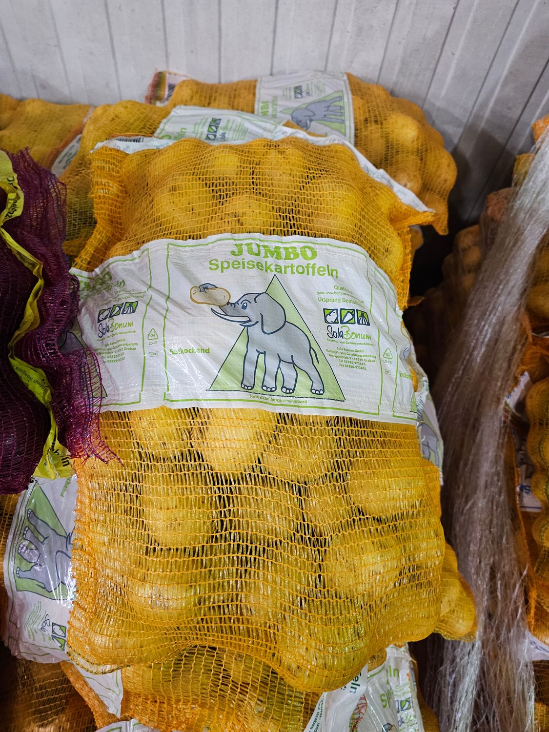 Kartoffel 10KG Festkochend