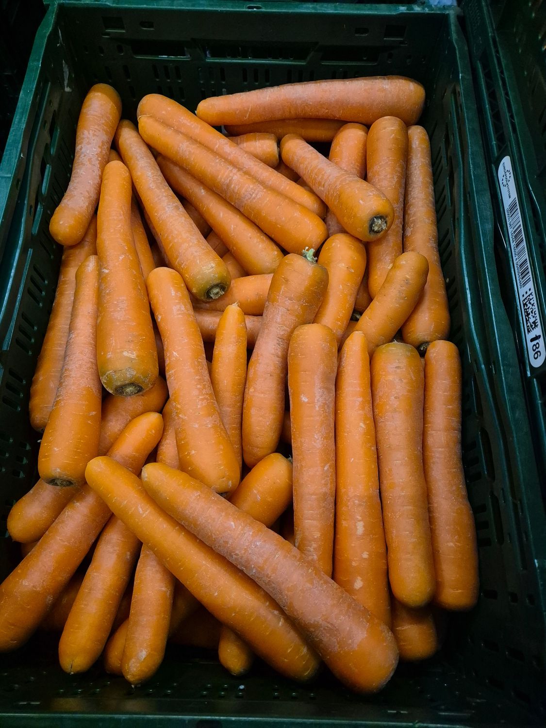 Möhren Dicke 12,5Kg