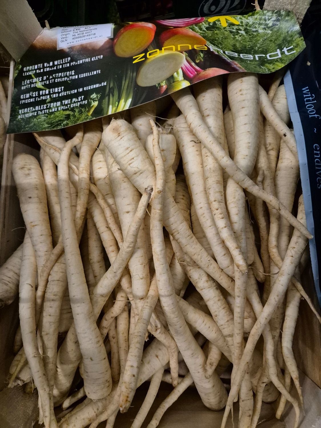 Petersilie Wurzel 5Kg