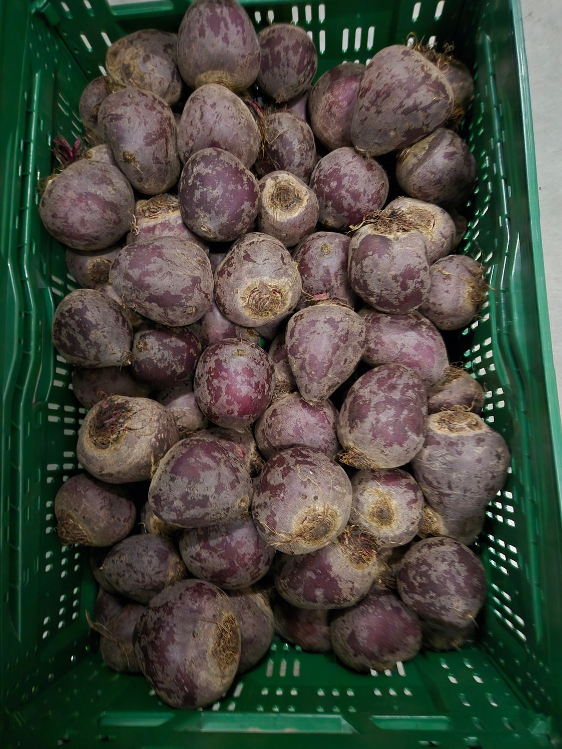 Rote Beete 20KG Pfand