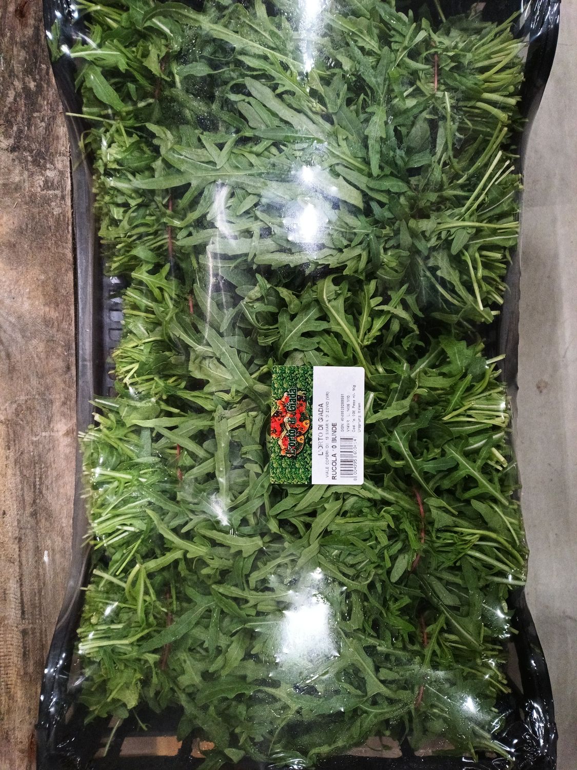 Rucola 10 Bund IT.