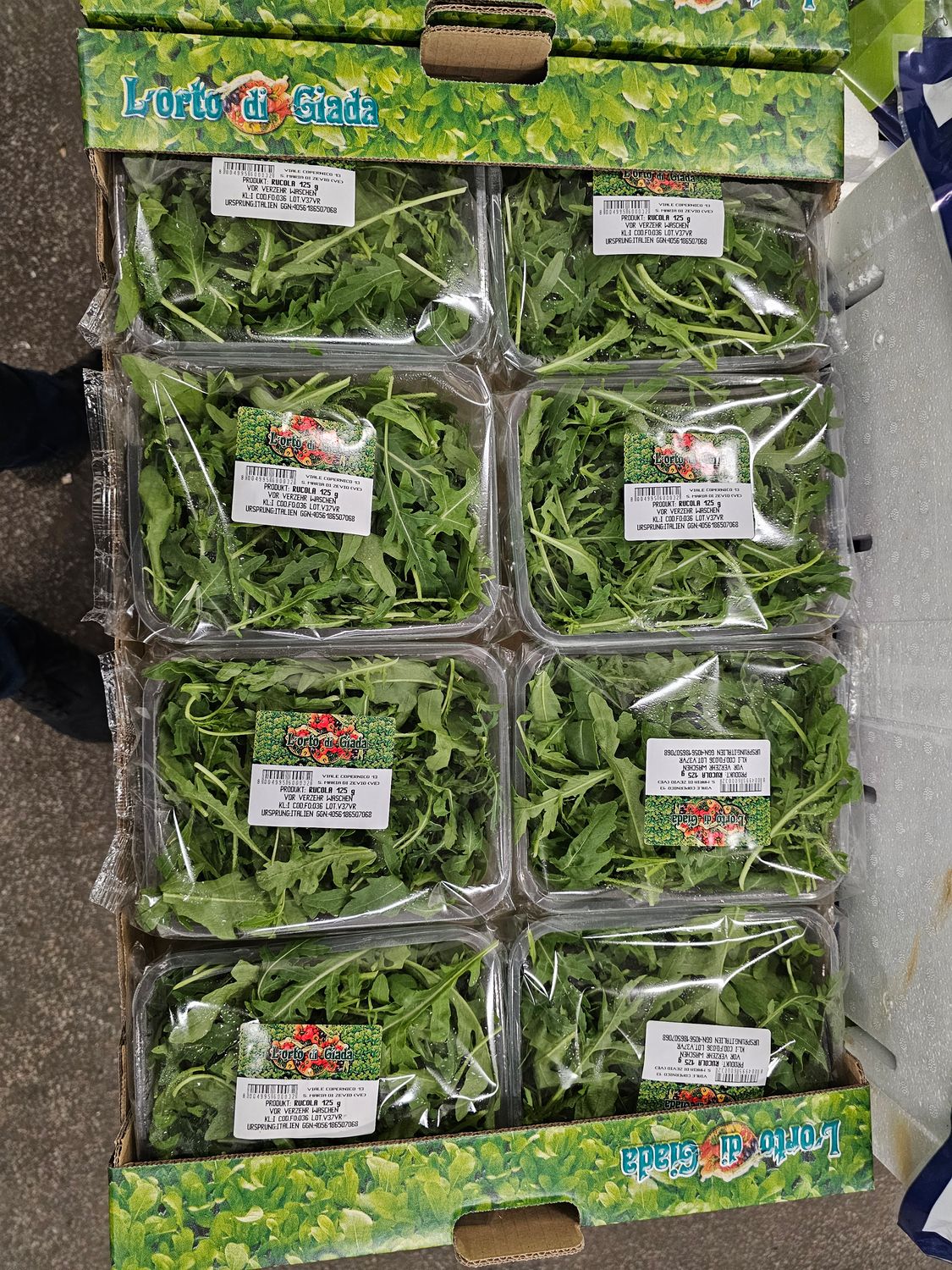 Rucola Schale 8ér Ital.