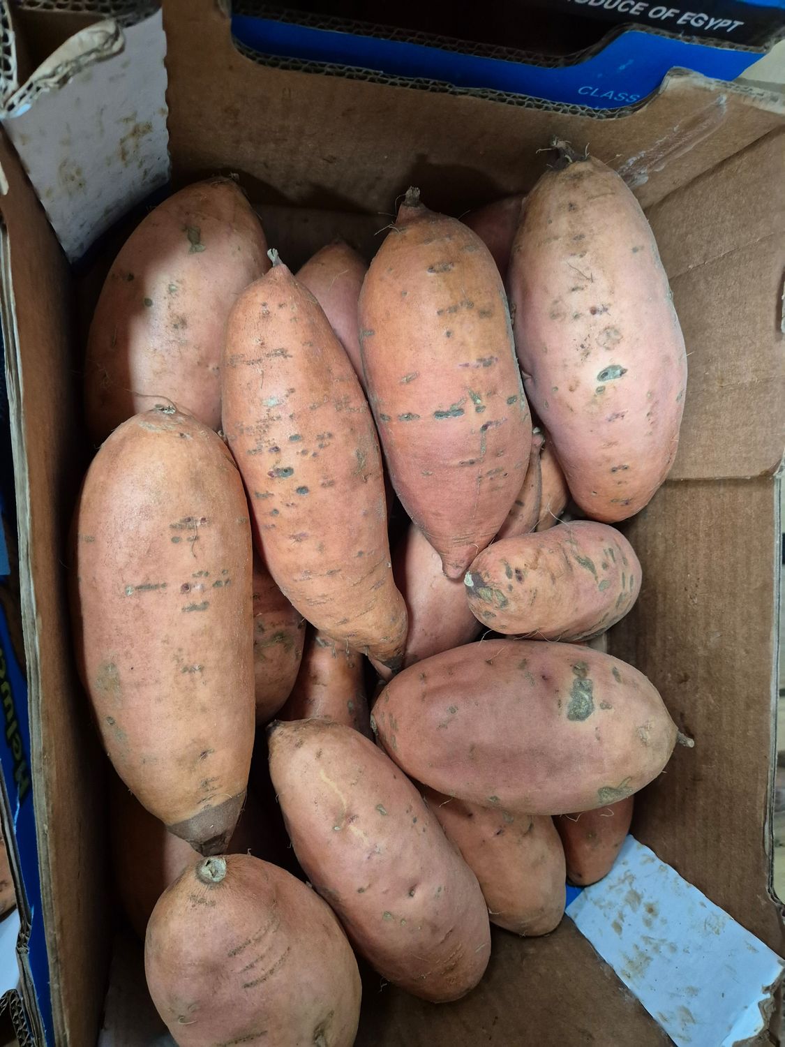 Süßkartoffel 6KG