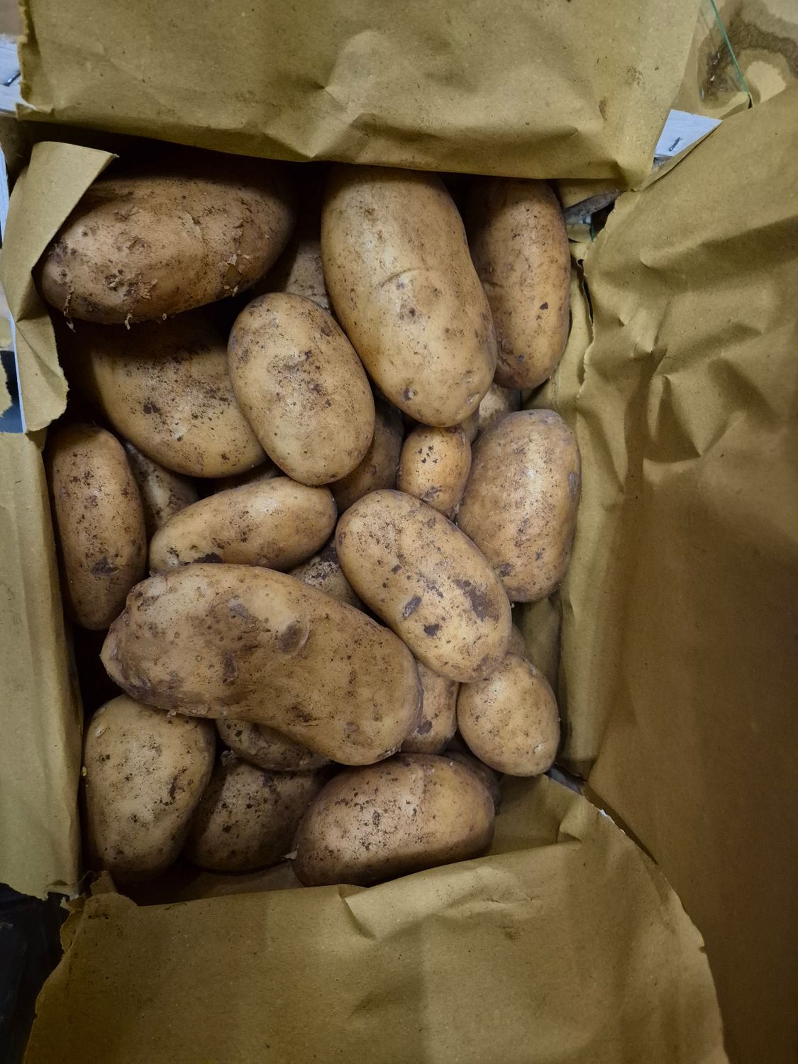 Spunta Kartoffeln 12Kg IT.