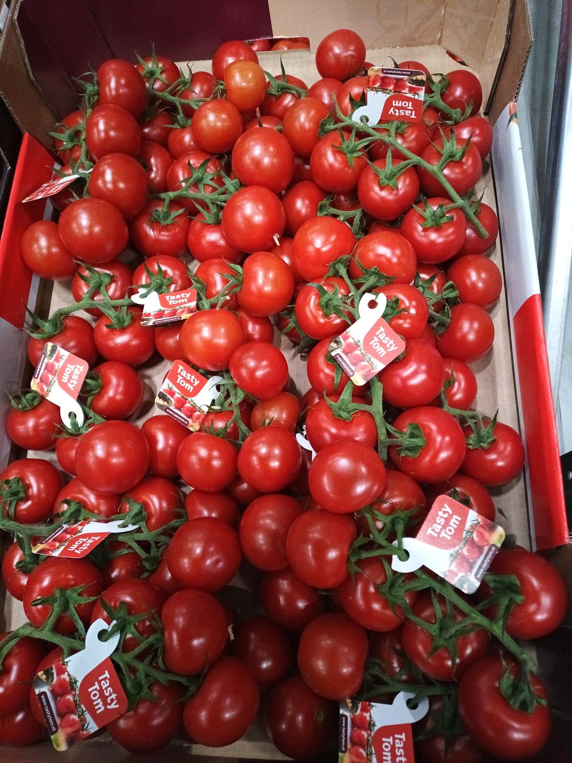 Tasty Tomaten K.1 7Kg NL.