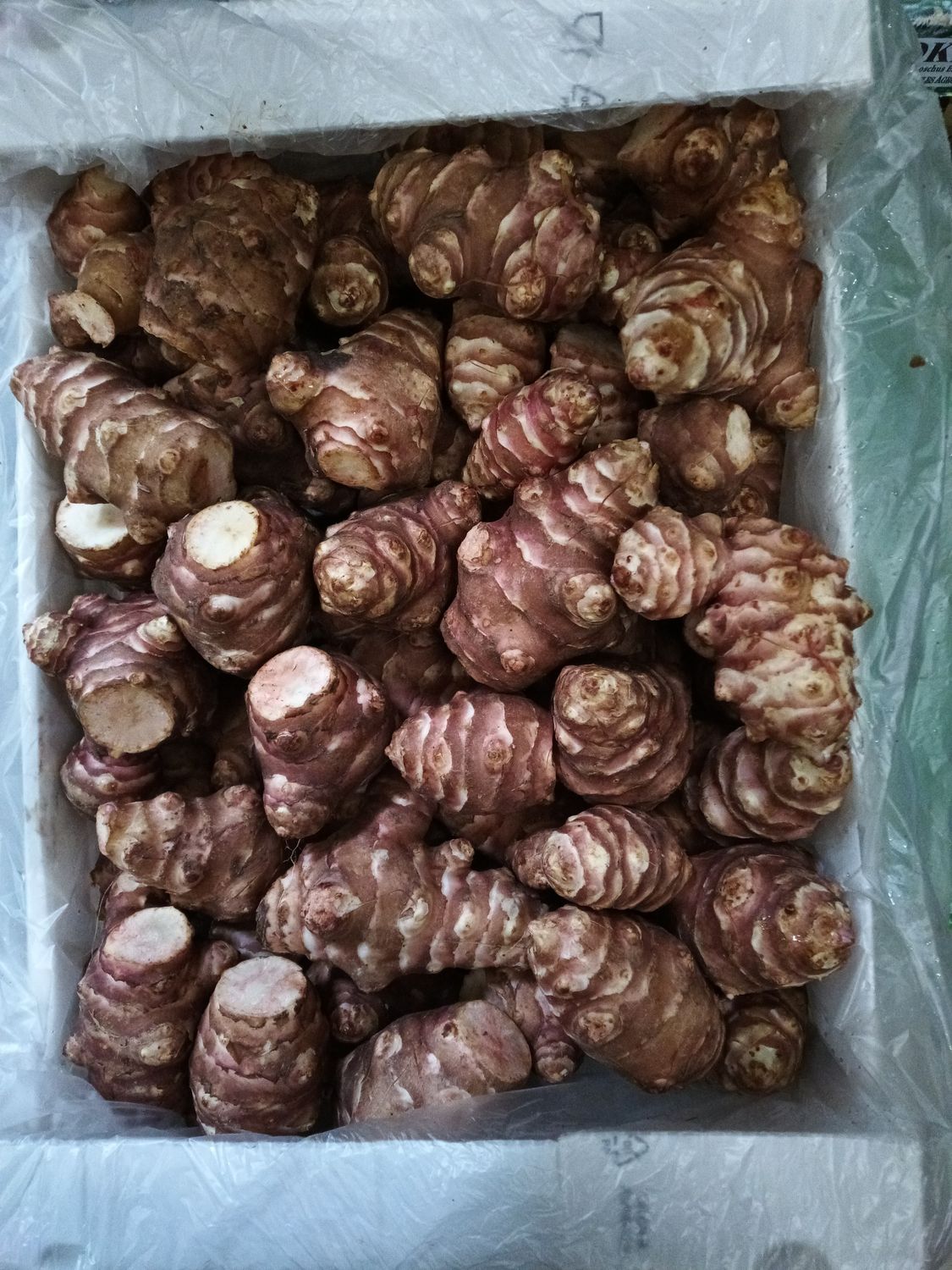 Topinambur -Yer Elmasi 6Kg IT.