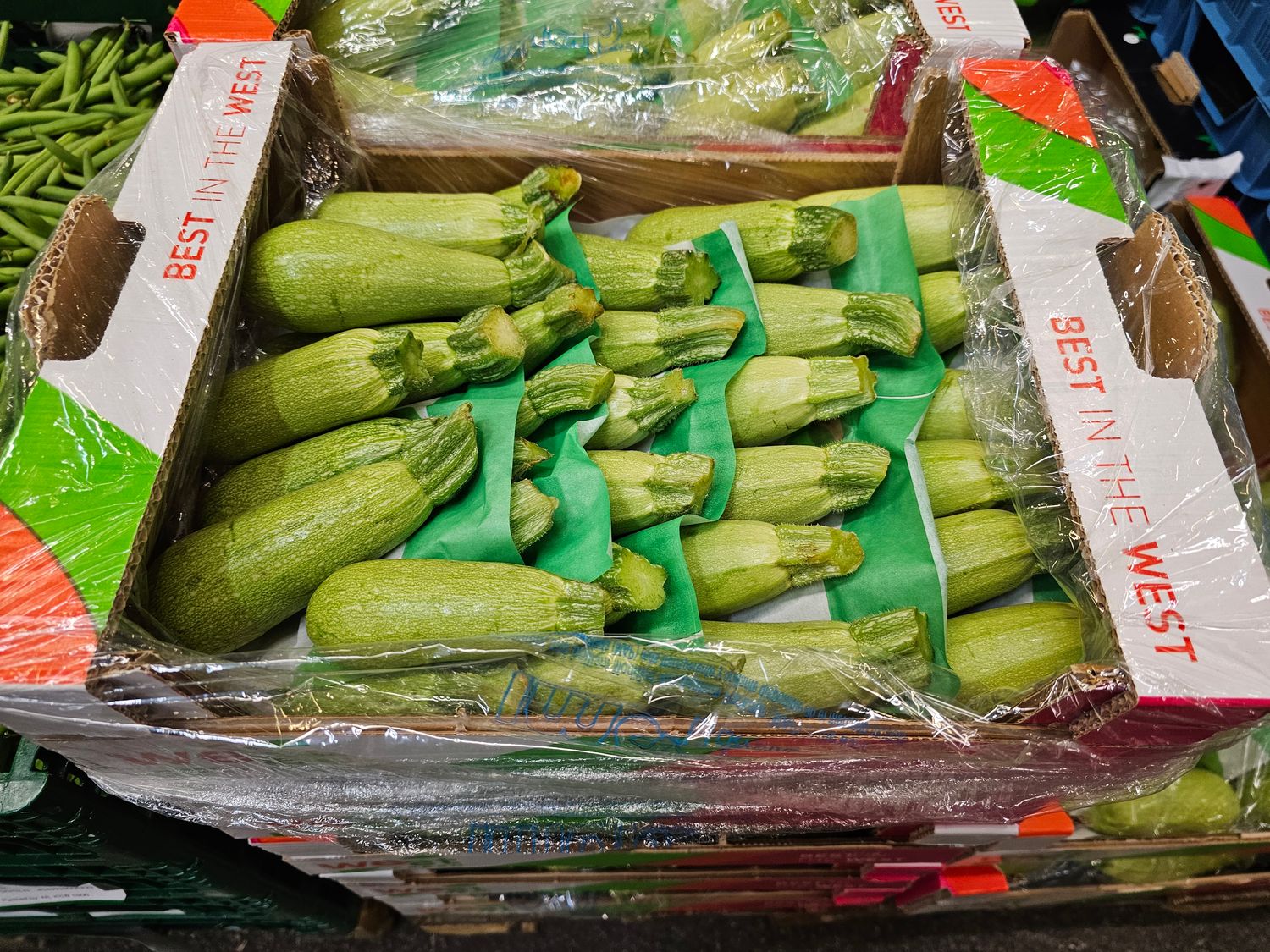 Weiße Zucchini 4kg  Türkei