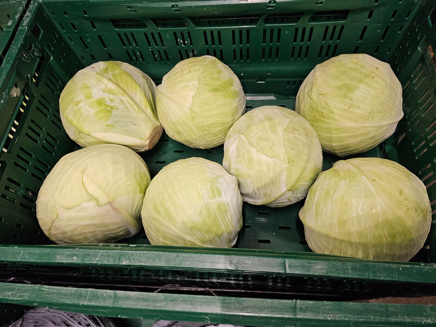Weißkohl 10 kg Pfand