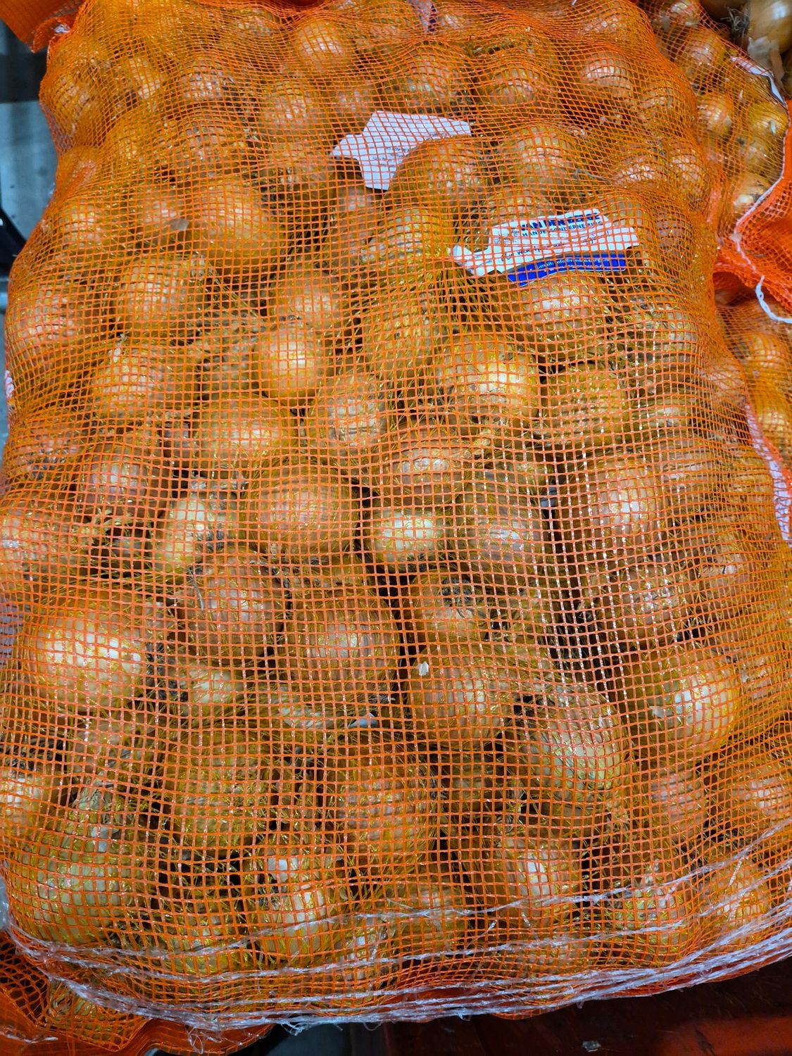 Zwiebel 1Kg Beutel 20x1KG