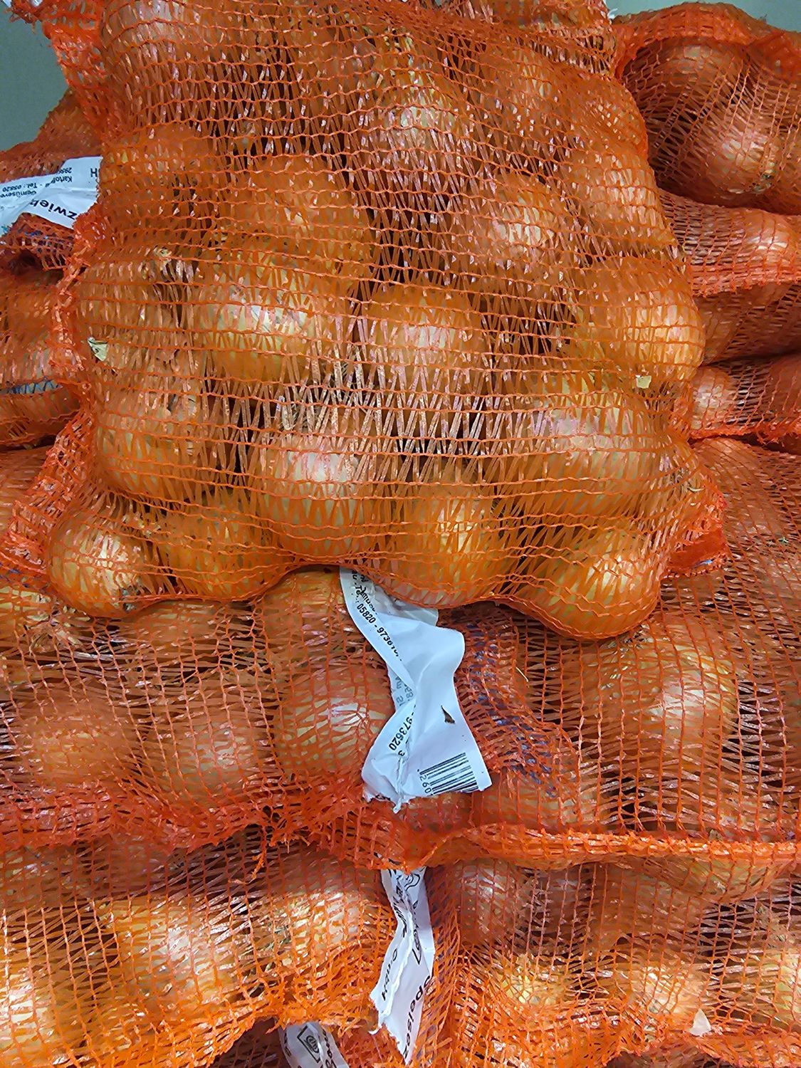 Zwiebel 5KG